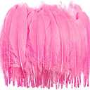 Piokio 100 pcs Natural Pink Goose Feathers in Bulk 6-8 inch(15-20 cm) for Cupcake Decorations, DIY Art and Dreamcatcher