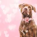 Elegant little tail Valentine's Dog Collar with Flower, Cute Flower with Heart Pet Collars Holiday Female Adjustable Cotton Pet Collar with Flowers for Small Medium Large Dogs (X-Small (Pack of 1))