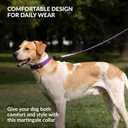 CollarDirect Martingale Dog Collar Heavy Duty Nylon Slip Collars for Small Medium Large Dogs [Stainless Steel Chain and Quick Release Buckle, Reflective, Purple, S, 12"-15"]