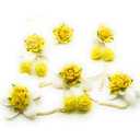 Yellow Floret/Flower Jeweler for Bridal Full Set GOTA Flower Jewellery for Mehandi,HALDI,GODBHARAI,Baby Shower,Marriage,Kitty Party,Wedding Bride.
