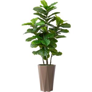 Artificial Fiddle Leaf Fig Plant Indoor 5FT Faux Fig Tree with Mocha Diamond Planter Tall Fake Floor Plant Potted Artificial Trees for Home Office Living Room Decor Indoor
