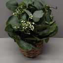 Artificial Eucalyptus Stems in Woven Basket Planter, 12" Fake Plant