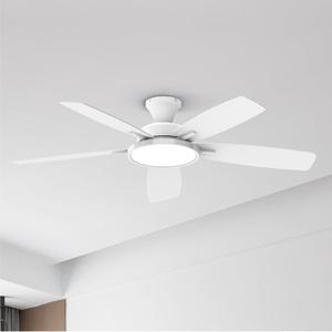 TALOYA 52 inch Ceiling Fans with Lights and Remote, Low Profile Ceiling Fan with Light, Flush Mount, Reversible, 3CCT, Dimmable, Ultra Quiet White Ceiling Fan for Bedroom Living Room Indoor Outdoor