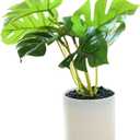 Artificial Leaf Simulation Pot Plant Realistic Looking Not Wither Geometric Shape Potted Unfading Maintenance Free Decorate Exquisite Details Fake Plant Leaf