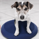 Libima Wiggle Seat Inflated Wobble Cushion for Sensory Kid 13 Inches Balance Disc Flexible Seating for Classroom Sensory Pad for Chair Wiggle Cushion with Needle Pump Blue