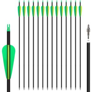14 Pack 30" Archery Carbon Arrows,Practice Hunting Arrow with Removable Tips Shaft Spine 500 Suitable for Recurve Bows