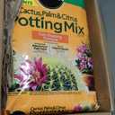 Miracle-Gro Cactus, Palm and Citrus Potting Mix, for Indoor or Outdoor Potted Plants, Great for Succulents, 8 qt., 2-Pack