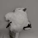 Potaroma Cat Toys Flapping Bird (No Flying), Lifelike Sandpiper Chirp Tweet, Rechargeable Touch Activated Kitten Toy Interactive Cat Exercise Toys for All Breeds Cat Kicker Catnip Toys 4.0"