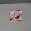 2 x Christmas Tree Decorations, Acrylic Animal Christmas Ornaments, Home Decoration, Party Decoration, Small Animals on The Moon (Moon Fox)