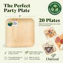 Chic Leaf Palm Leaf Plates 8 Inch - Square Disposable Bamboo-Style Dinnerware, Heavy Duty & Compostable Areca Leaf Serving Dishes for Appetizers, Desserts, Weddings, and Events