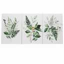 3Pcs Green Plants Canvas Wall Art Bohovegetation Wall Decor Pictures Sage Green Botanic Posters Prints Modern Botanical Paintings Artwork for Bedroom Bathroom Home Decoracion 16in x 2ft