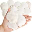 36 PCS Clam Shells for Crafts,2.4''-2.8'' Natural Scallop Shells, Large Seashells for Crafts, Themed Party and Home Decor