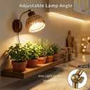 Hanging Grow Lights for Indoor Plants, Auto Cycle Timer, 18W Full Spectrum Wall Mounted Grow Light, Boho Rattan Lantern Shade, Adjustable Head, 16 FT Power Cord for Indoor Plant Growing, Flowers