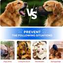 Evollax Muzzle for Small Dog - Soft Air Mesh XS Dog Muzzle for Small Dogs | Perfect for Barking and Biting Prevention | Puppy Mussels for Grooming Allows Panting & Drinking