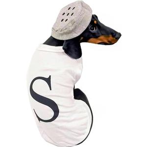 Salt and Pepper Dog Costume Halloween Pet Dog Cosplay Salt & Pepper Theme Costume (White, Large)
