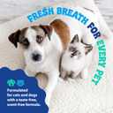 Dental Fresh Water Additive for Dogs and Cats, Clean Teeth and Fresh Breath, Daily Pet Oral Care, Flavorless, 32 fl oz