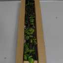 Waipfaru 4PCS Artificial Ficus Branches for Vase, Faux Greenery Stems for Vase Filler, 47in Realistic Flexible Eucalyptus Stems Fake Artificial Twig Plants Indoor Home Tables Centerpieces Office Decor
