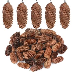 50 Pieces Natural Hanging Pine Cones with Claw Nails Christmas Snow Pine Cones Crafts Rustic Fall Garland Large Halloween Thanksgiving Decorations Christmas Tree Fall Ornaments for DIY