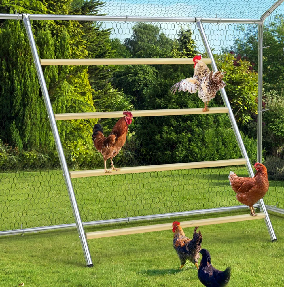 Chicken Coop Roosting Perch,Perfect for Backyard Poultry,Chicken Perch Essentials,Easy to Assemble&Clean,Farm Chicken Toys (56" L x 41.5" W)