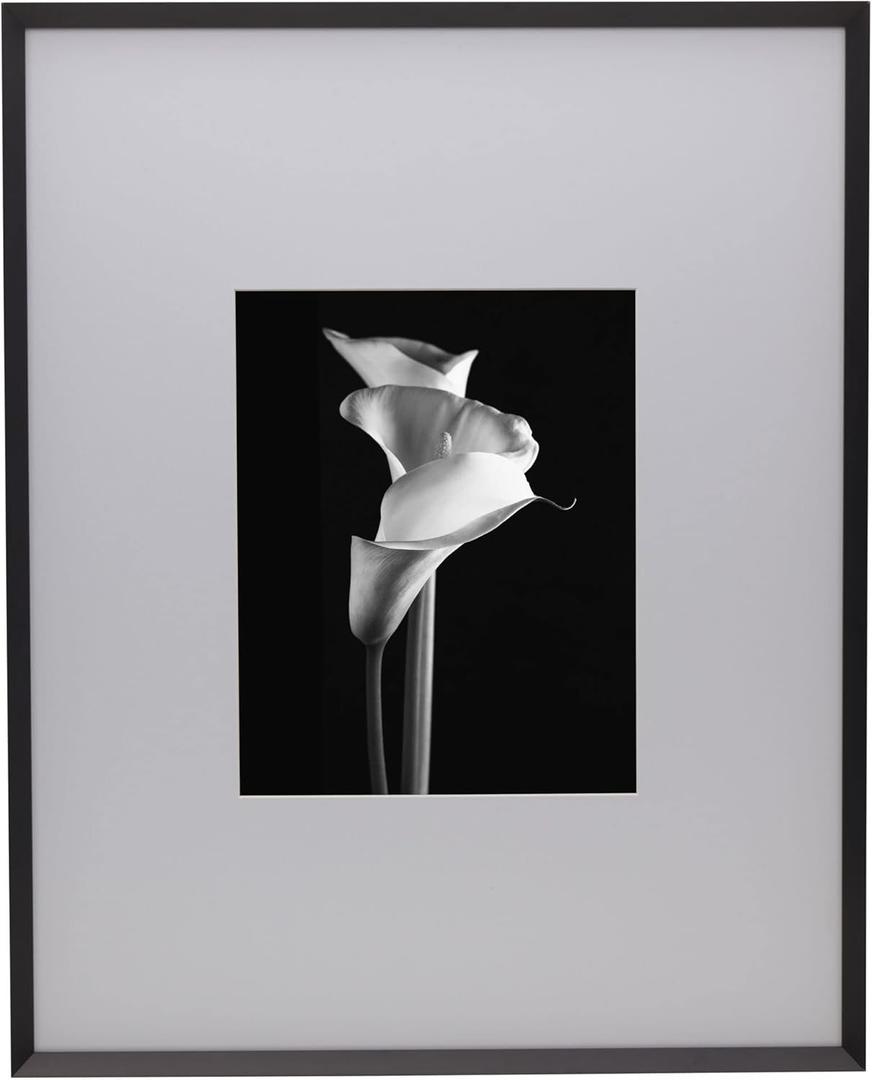 Mikasa Metal Portrait Frame, Displays 8x10 Photo with Mat, 16x20 without Mat, Black