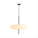 Brikey 19.7'' Nordic Acrylic Pendant Light, 5-Light Hanging Ceiling Lamp Chandelier for Dining Room Kitchen Island(White)