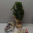 Mini Christmas Tree, Tabletop Small Christmas Tree Green Prelit Christmas Tree with Music Artificial Xmas Tree with Xmas Ornaments Christmas Decorations Indoor Outdoor for Home Party