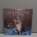 Turner Licensing, Rachael Hale Loveable Cats 2026 Wall Calendar