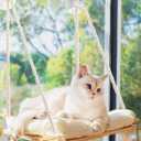 Cat Window Perch - Hammock Bed for Cats Inside - Solid Wood Seat, 4 Strong Suction Cups, Soft Cushion - Rustic Indoor Pet Shelf (Medium, Beige)
