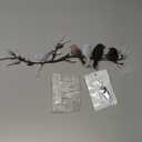 Ferraycle Metal Bird Wall Art Birds on the Branch Decor Metal Sculpture Silhouette Ornament Branch Wall Hanging Sign for Balcony Garden Home Decor(Dark Colors)