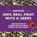 Pennington Pride Songbird Nut & Fruit Blend, Wild Bird Seed for Outside Feeders, Advanced Nutrition Formula for Health, Bird Food, 10-lb. Bag (EXP 08/26/26)