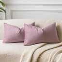 JUSPURBET Pink Purple 16x24 inch Pillow Cover Set of 2 Soft Decorative Lumbar Velvet Throw Pillow Cases for Couch Bed Sofa Zippered Closure Luxurious Velvet Fabric Machine Washable Home Decor