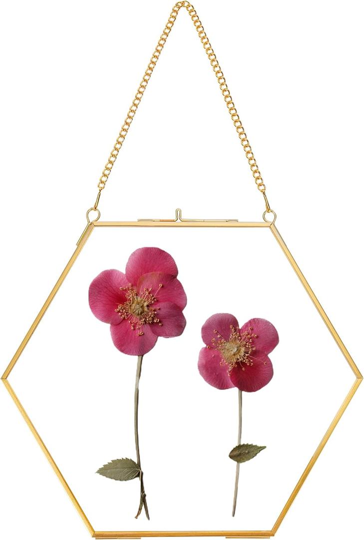 Glass Pressed Flower Frame Handmade, Double Glass Frame for Pressed Flowers Brass Floating Picture Frames, Wall Hanging Picture Frame for Dried Flowers Home Wall, Hexagon, Gold (FRAME ONLY) (8L" x 9.4W")