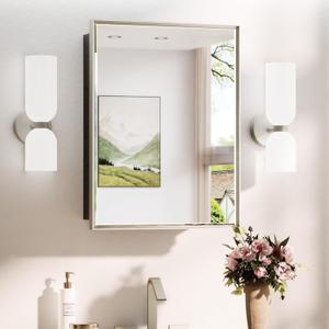 TokeShimi 21x27 Recessed Medicine Cabinet with Mirror Surface Mount, Beveled Mirrored with Storage Adjustable, Aluminum Framed Metal Brushed Nickel Medicine Cabinet with Mirror Modern