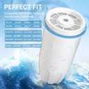Water Filter Replacement Compatible with Zero Pitcher and Dispenser ZR-001 ZR-017 ZR-004 ZP-006 ZD-013 ZS-008, Multi-Stage Filter System, Reduce Lead, Chromium, and PFOA/PFOS, Pack of 6, By DESENRUIS