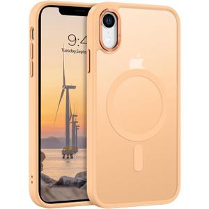 Telaso for iPhone XR Case, iPhone XR Phone Case Compatible with Magsafe Wireless Charging Translucent Matte Back Shockproof Anti-Scratch Anti-Yellow Full Body Protective Magnetic iPhone XR Case, Khaki