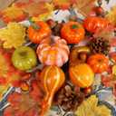 winemana Thanksgiving Fall Decorations for Home-6pcs Mini Pumpkins & 2pcs Gourds, 30pcs Leaves & 10pcs Acorns, 2pcs Pinecones Centerpiece Set-Harvest Decor for Table Mantel (Largest: 4.5" x 2.1")