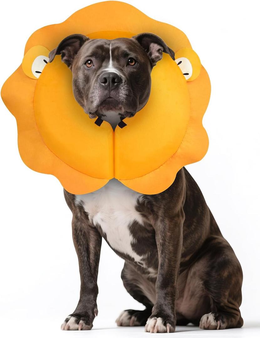 MIDOG Dog Cone Collar for Large Medium Dogs, Soft Inflatable Dog Cone Alternative After Surgery, Adjustable Protective Recovery Cone - Alternative E Collar Does Not Block Vision (Lion,L)
