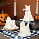 Halloween Decor Indoor, Set of 3 Draped Ghost Dog Figurines, Light-Up Halloween Decorations, Ghost Decor for Home Party Display
