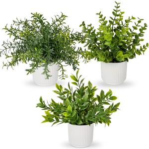 Hollyone 3 Pack Artificial Potted Plants Eucalyptus Rosemary ZZ Plant Zamioculcas Zamiifolia Fake Plant in Pot Small Faux Plant Greenery Aesthetic Indoor Home Decor Bathroom Bedroom Table Shelf Office