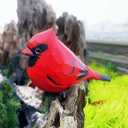 Handmade Wood Cardinal Figurines Set of 2-3.7" Carved Red Bird Statues, Male & Female Cardinals for Home Decor, Christmas Decorations, Memorial & Bird Lover Gifts