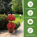 Daifunli 28 Inch Set of 2 Artificial Flowers Topiary Tree Double Ball Boxwood with Spikes for Outdoor UV Resistant Faux Shrubs, Realistic Fake Bushes for Garden Front Porch Patio Decor(Red)