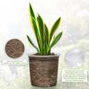 FUIJOL 6 Inch Clear Nursery Pots for Plants with Sacuers 15 Pack, Plastic Flower Pots with Drainage Holes, Variety Pack Seedlings Garden Pot for Indoor Outdoor (6 inch)