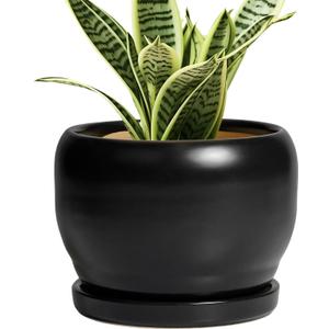 SQOWL Ceramic Plant Pot - 6 Inch Planter for Indoor Plants, Round Flower Pot with Drainage Hole and Saucer, Modern Succulent Planter Outdoor, House Decor, Plant Lovers Gifts, Black