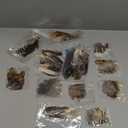 200pcs 10 Style Natural Feathers Assorted Mixed Feathers for Dream Catcher Crafts Decoration (10 Styles - 200 Pcs)