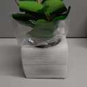 AlphaAcc Artificial Plants Potted Real Looking Small Faux Plant with Rustic Black Cement Planter for Kitchen Office Desk Bookshelf Decor (Ficus Plant)