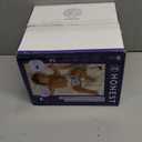 The Honest Company Comfort Dry Overnight Diapers, Up to 12 Hours Protection, Hypoallergenic, Fragrance-Free, Cozy Cloud + Star Signs, Club Box Size 6 (35+ lbs), 34 Count