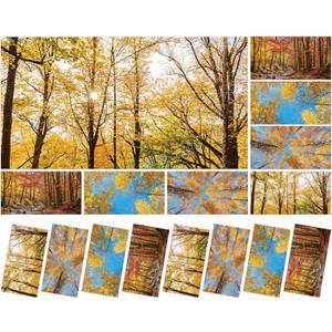 8 Pcs Fluorescent Light Covers with 80 Magnets Decorative for Classroom Ceiling Lights 4 x 2 Feet Magnetic Light Cover Filter Easy Install for Office Hospitals Drop Home Ceiling Supplies (FALL)