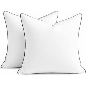 puredown 20x20 Pillow Inserts Set of 2, Fluffy Overfilled Down Alternative Decorative Pillows, Soft Plush Throw Pillows for Couch, Sofa, Bed and Home Decor