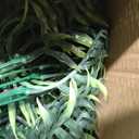 Outdoor Fake Hanging Fern Artificial Hanging Ferns 2 Pack, Large Faux Boston Fern Bushes, UV Resistant Outdoor Hanging Plants for Front Porch, Patio & Indoor Decor