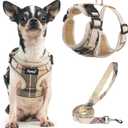 PUPTECK Soft Mesh Dog Harness and Leash Set Pet Puppy Cat Adjustable Reflective Padded Vest No Pull Harnesses, Beige, XS (XS (NECK: 11-13", CHEST: 11-15"))